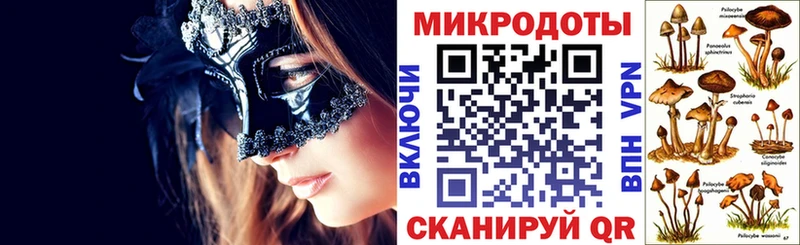 где купить   Буй  Псилоцибиновые грибы мицелий 